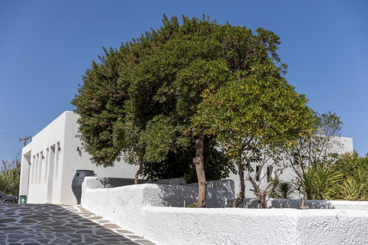 Naxos Green Village Hotel Naxos City Eksteriør bilde